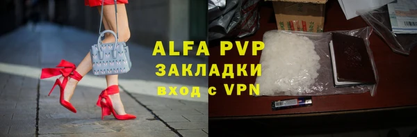 прущие грибы Мегион