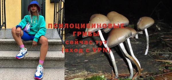 ECSTASY Медногорск