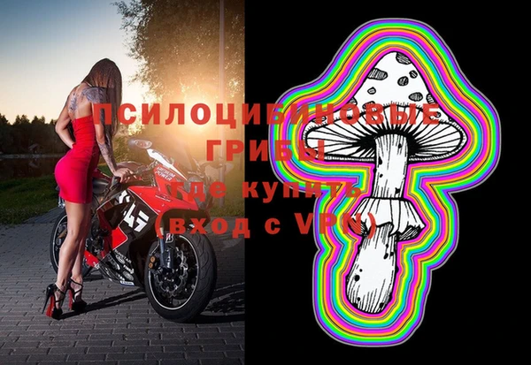 ECSTASY Медногорск