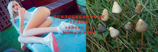 ECSTASY Медногорск