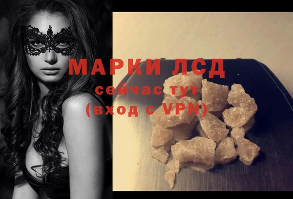 прущие грибы Мегион