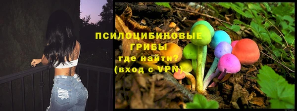 прущие грибы Мегион
