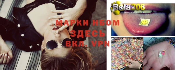мдпв Магас