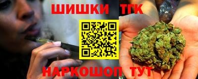 spice Дубна