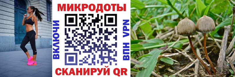 Галлюциногенные грибы GOLDEN TEACHER  гидра ссылка  Ухта 