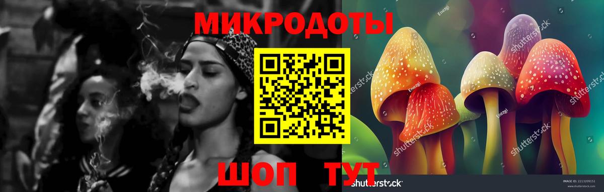 Ухта  Псилоцибиновые грибы Psilocybe  Вход с VPN 